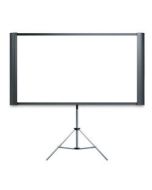 Projector Screen 4'x6'