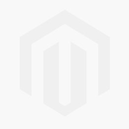 Apple iPhone Rentals – For Content Creators